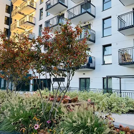 招待所 Comfy Guest