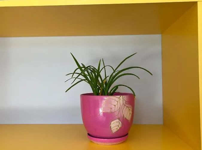 Comfy Guest Warszawa