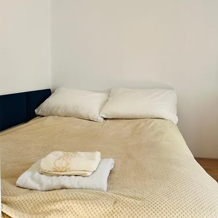 Comfy Guest *